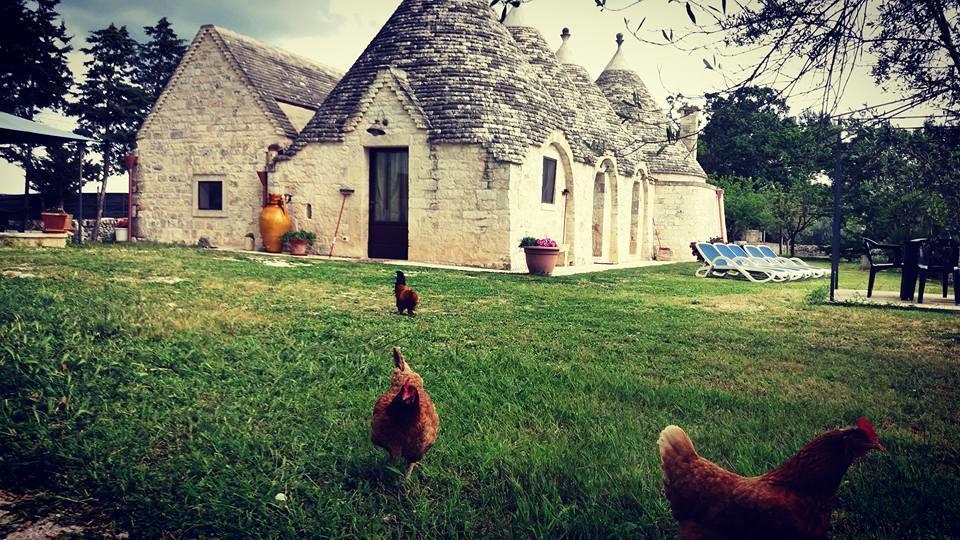 B&B Masseria Nardelli Locorotondo Luaran gambar